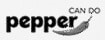 "Pepper Logo" - A small logo of Pepper Financial Services, measuring 105x40 pixels